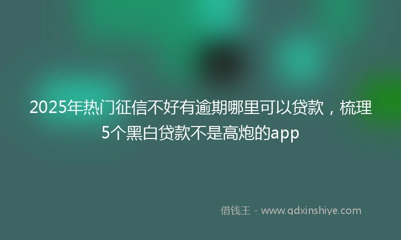 2025年热门征信不好有逾期哪里可以贷款，梳理5个黑白贷款不是高炮的app