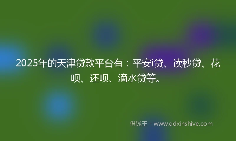 2025年的天津贷款平台有：平安i贷、读秒贷、花呗、还呗、滴水贷等。