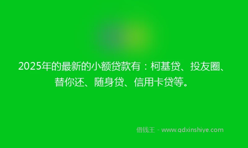 2025年的最新的小额贷款有：柯基贷、投友圈、替你还、随身贷、信用卡贷等。
