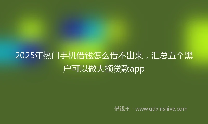 2025年热门手机借钱怎么借不出来，汇总五个黑户可以做大额贷款app