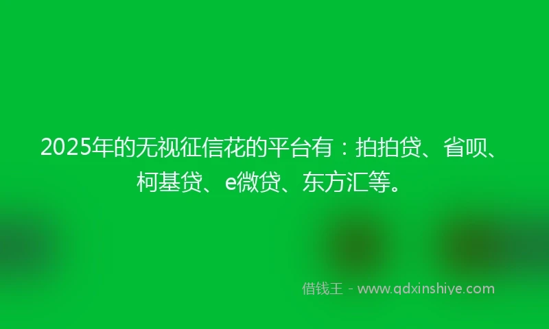 2025年的无视征信花的平台有：拍拍贷、省呗、柯基贷、e微贷、东方汇等。