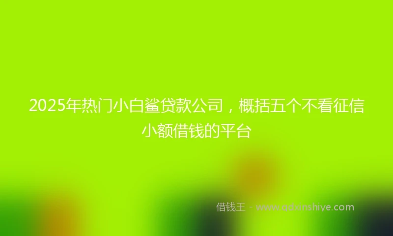 2025年热门小白鲨贷款公司，概括五个不看征信小额借钱的平台