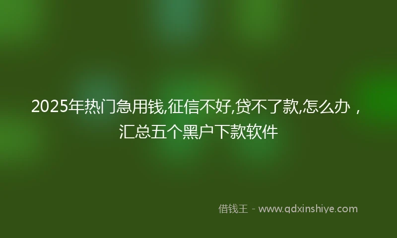 2025年热门急用钱,征信不好,贷不了款,怎么办，汇总五个黑户下款软件