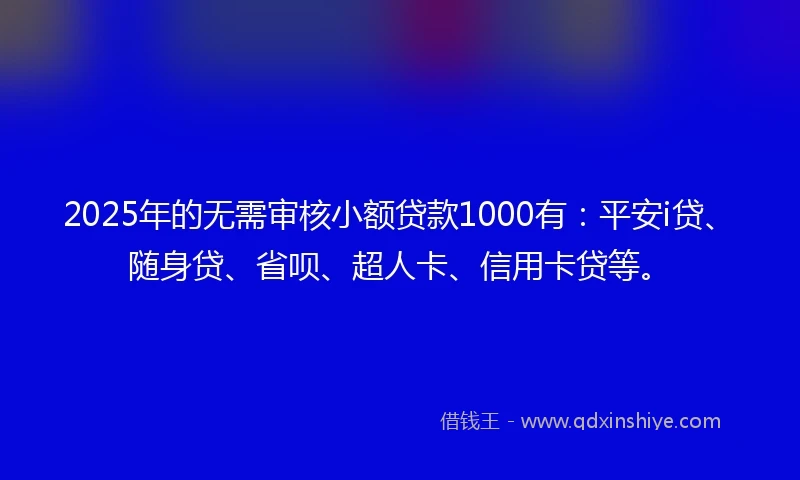 2025年的无需审核小额贷款1000有：平安i贷、随身贷、省呗、超人卡、信用卡贷等。