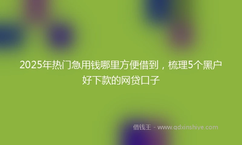 2025年热门急用钱哪里方便借到，梳理5个黑户好下款的网贷口子