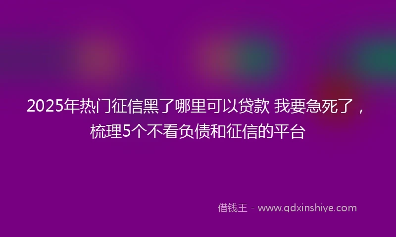 2025年热门征信黑了哪里可以贷款 我要急死了，梳理5个不看负债和征信的平台