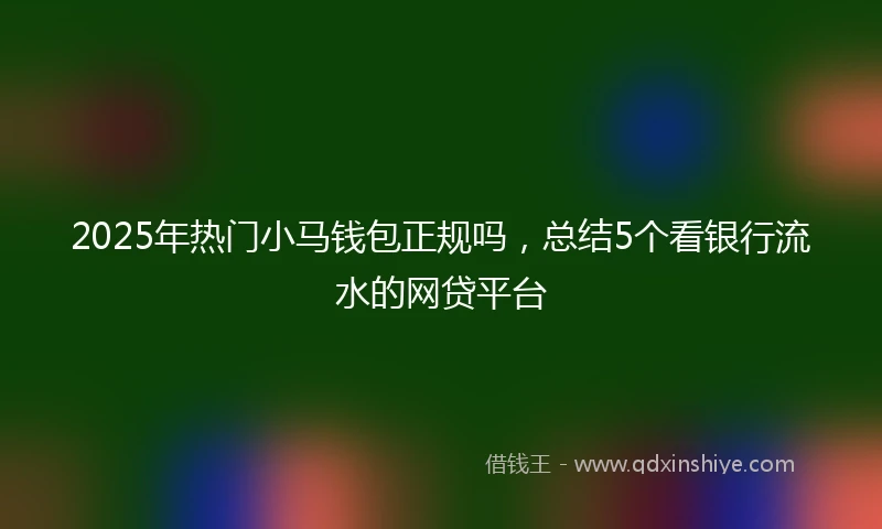 2025年热门小马钱包正规吗，总结5个看银行流水的网贷平台
