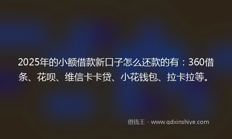 2025年的小额借款新口子怎么还款的有：360借条、花呗、维信卡卡贷、小花钱包、拉卡拉等。