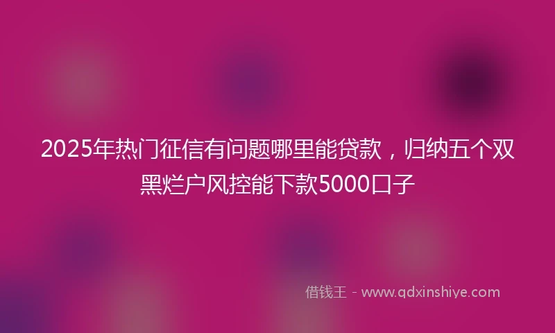 2025年热门征信有问题哪里能贷款，归纳五个双黑烂户风控能下款5000口子