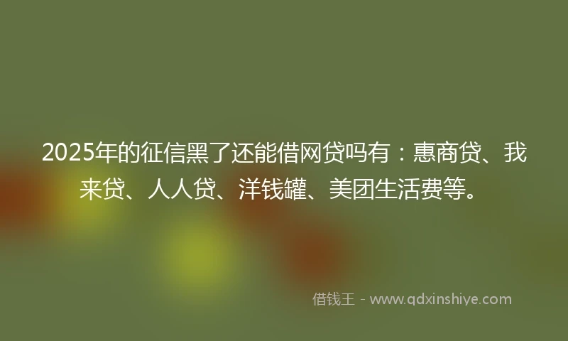 2025年的征信黑了还能借网贷吗有：惠商贷、我来贷、人人贷、洋钱罐、美团生活费等。