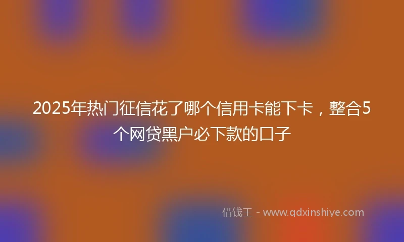 2025年热门征信花了哪个信用卡能下卡，整合5个网贷黑户必下款的口子