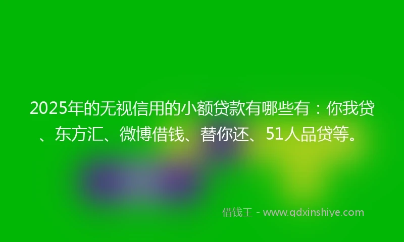 2025年的无视信用的小额贷款有哪些有：你我贷、东方汇、微博借钱、替你还、51人品贷等。