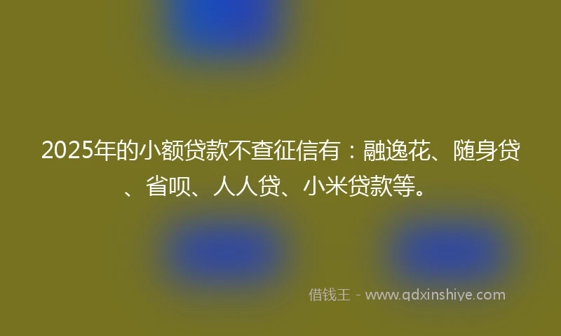 2025年的小额贷款不查征信有：融逸花、随身贷、省呗、人人贷、小米贷款等。