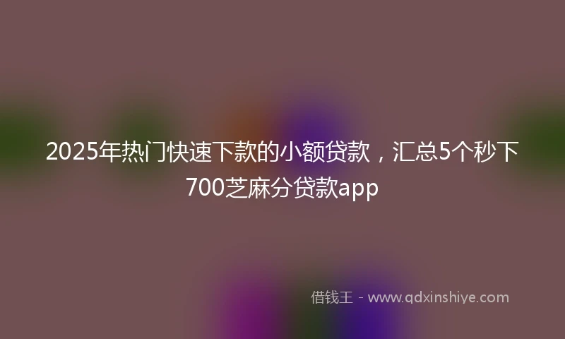 2025年热门快速下款的小额贷款，汇总5个秒下700芝麻分贷款app