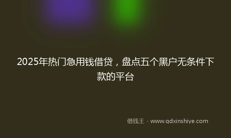 2025年热门急用钱借贷，盘点五个黑户无条件下款的平台