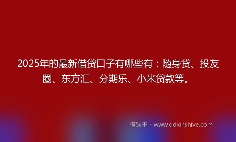 2025年的最新借贷口子有哪些有：随身贷、投友圈、东方汇、分期乐、小米贷款等。