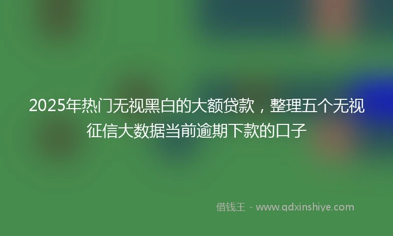2025年热门无视黑白的大额贷款，整理五个无视征信大数据当前逾期下款的口子