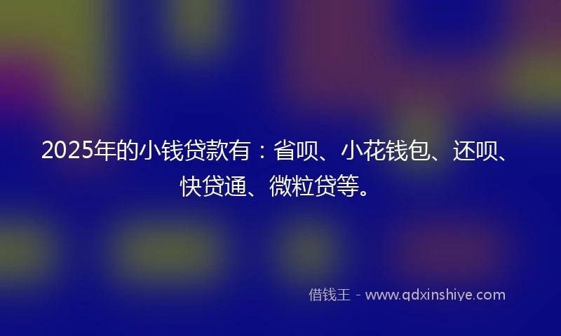 2025年的小钱贷款有：省呗、小花钱包、还呗、快贷通、微粒贷等。