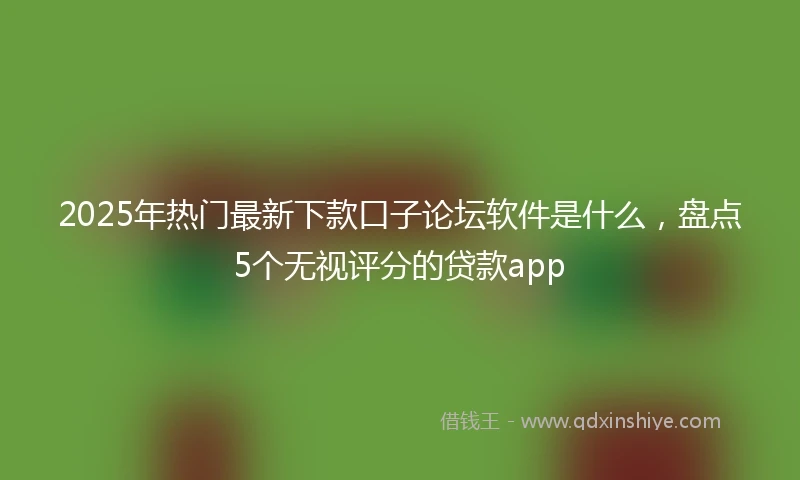 2025年热门最新下款口子论坛软件是什么，盘点5个无视评分的贷款app