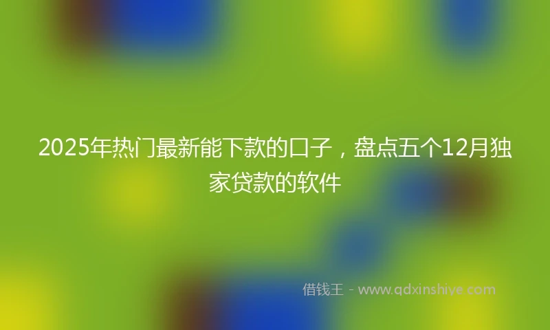2025年热门最新能下款的口子，盘点五个12月独家贷款的软件