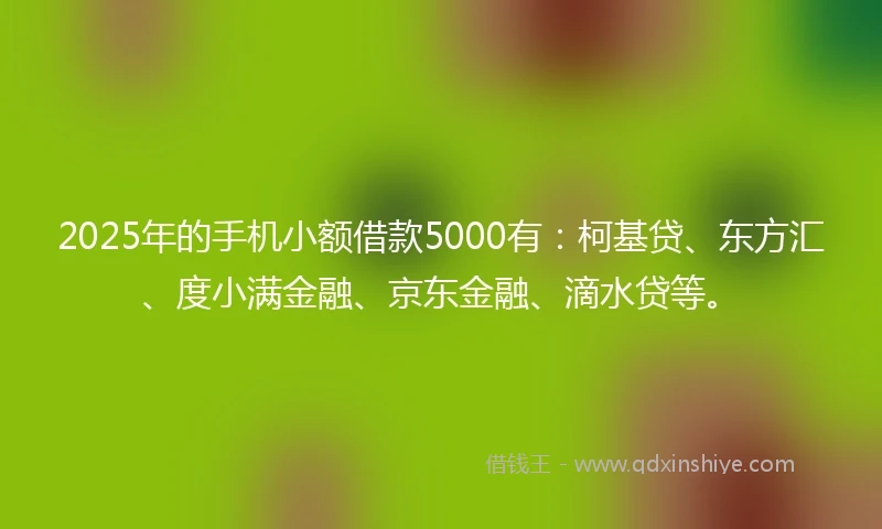 2025年的手机小额借款5000有：柯基贷、东方汇、度小满金融、京东金融、滴水贷等。