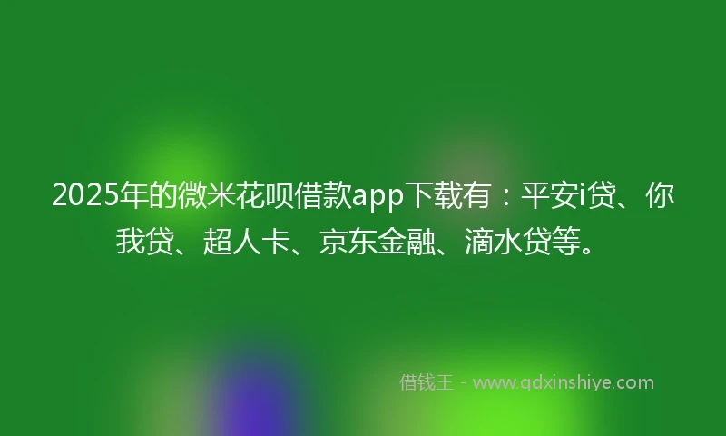 2025年的微米花呗借款app下载有：平安i贷、你我贷、超人卡、京东金融、滴水贷等。