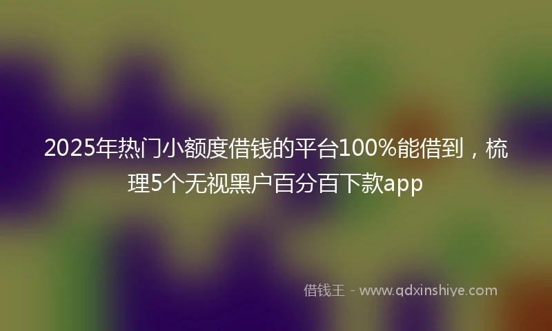 2025年热门小额度借钱的平台100%能借到，梳理5个无视黑户百分百下款app