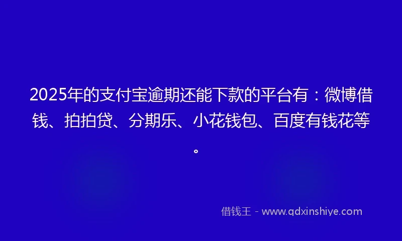 2025年的支付宝逾期还能下款的平台有：微博借钱、拍拍贷、分期乐、小花钱包、百度有钱花等。