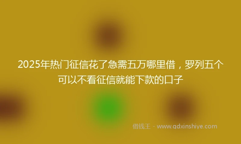 2025年热门征信花了急需五万哪里借，罗列五个可以不看征信就能下款的口子