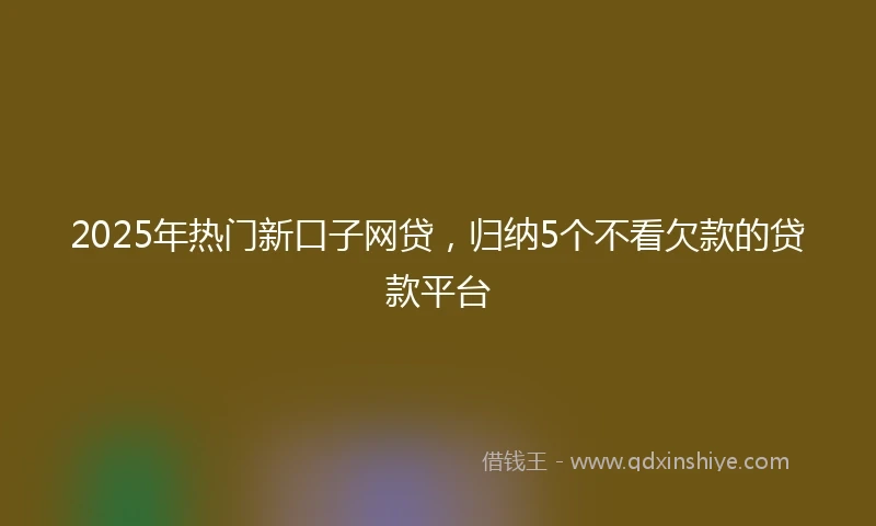 2025年热门新口子网贷，归纳5个不看欠款的贷款平台
