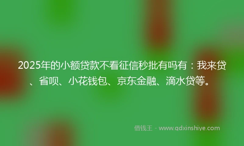 2025年的小额贷款不看征信秒批有吗有：我来贷、省呗、小花钱包、京东金融、滴水贷等。