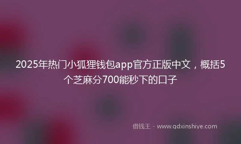 2025年热门小狐狸钱包app官方正版中文，概括5个芝麻分700能秒下的口子