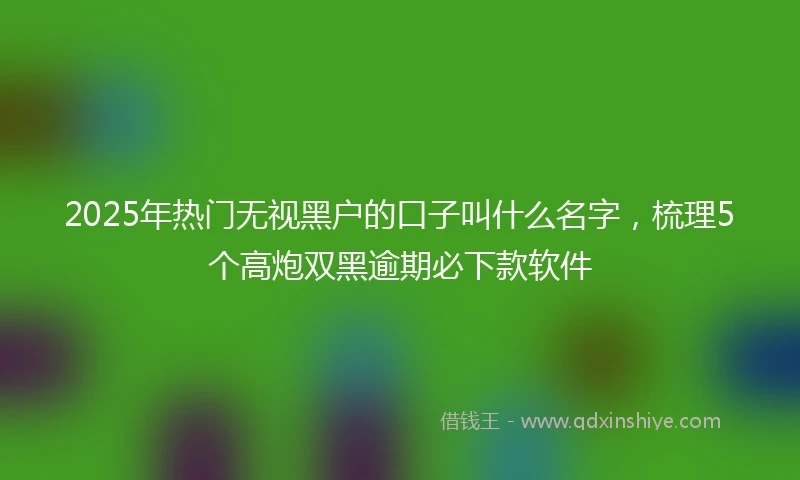 2025年热门无视黑户的口子叫什么名字，梳理5个高炮双黑逾期必下款软件