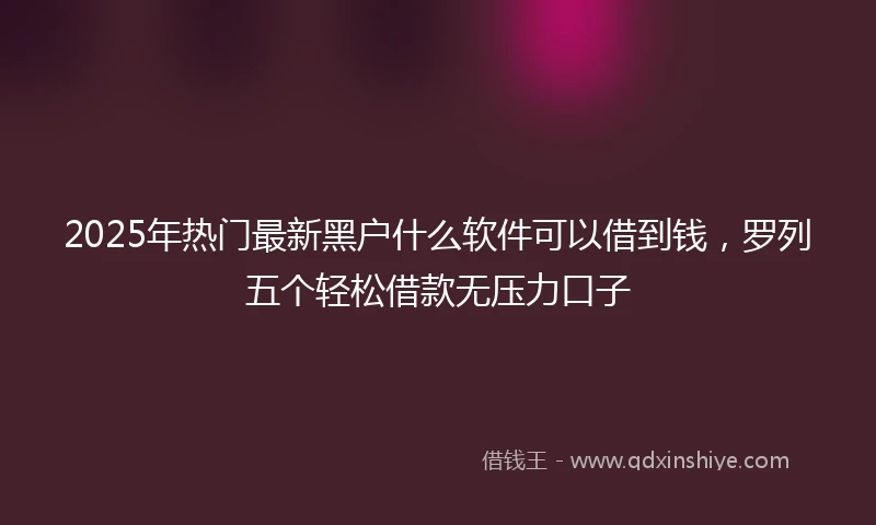 2025年热门最新黑户什么软件可以借到钱，罗列五个轻松借款无压力口子
