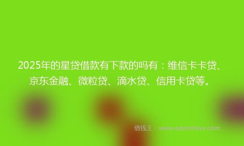 2025年的星贷借款有下款的吗有：维信卡卡贷、京东金融、微粒贷、滴水贷、信用卡贷等。
