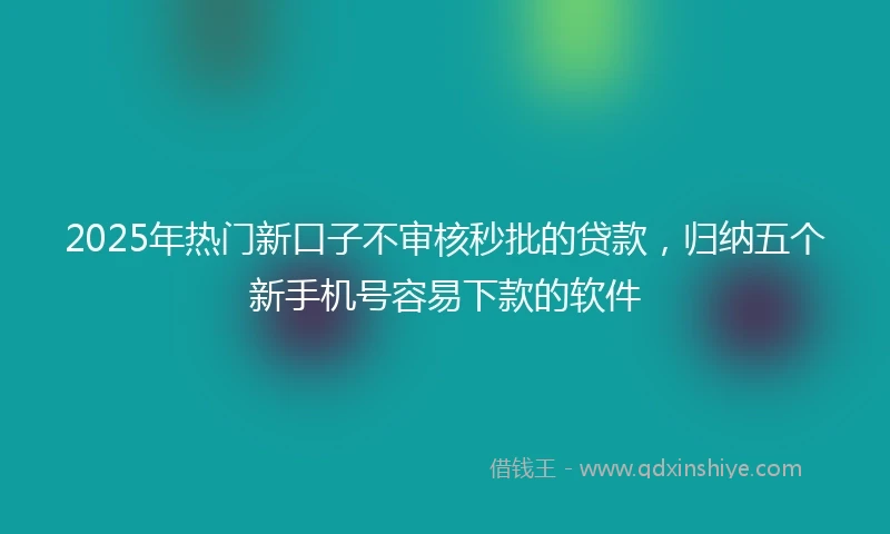 2025年热门新口子不审核秒批的贷款，归纳五个新手机号容易下款的软件