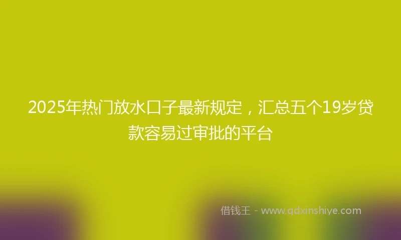 2025年热门放水口子最新规定，汇总五个19岁贷款容易过审批的平台