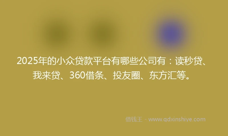 2025年的小众贷款平台有哪些公司有：读秒贷、我来贷、360借条、投友圈、东方汇等。
