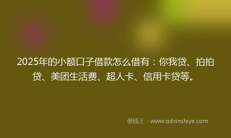 2025年的小额口子借款怎么借有：你我贷、拍拍贷、美团生活费、超人卡、信用卡贷等。