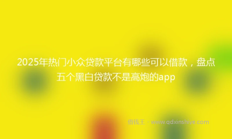 2025年热门小众贷款平台有哪些可以借款，盘点五个黑白贷款不是高炮的app