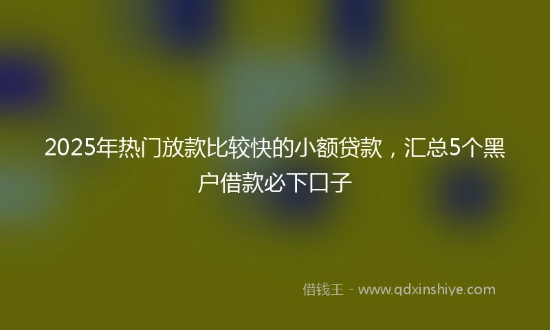 2025年热门放款比较快的小额贷款，汇总5个黑户借款必下口子