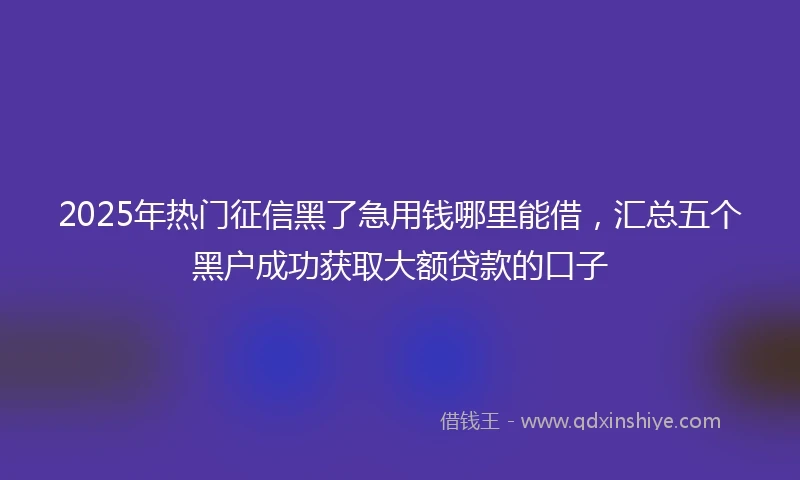 2025年热门征信黑了急用钱哪里能借，汇总五个黑户成功获取大额贷款的口子