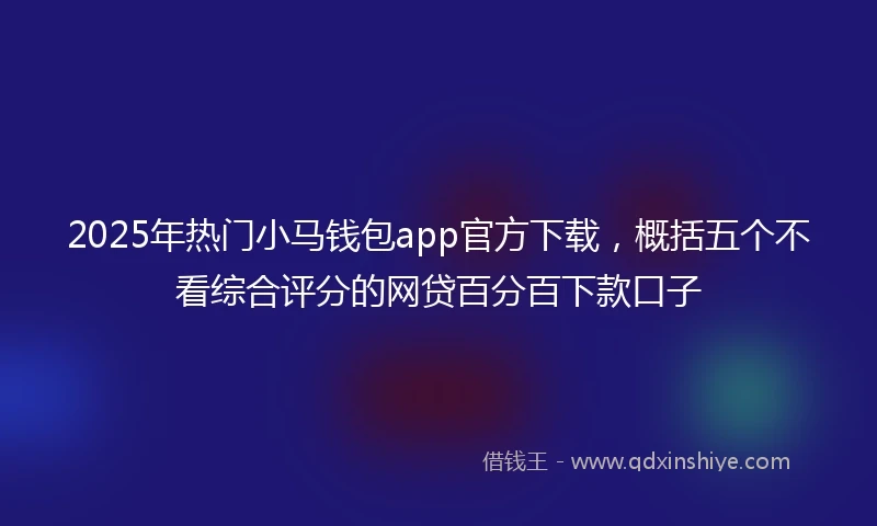 2025年热门小马钱包app官方下载，概括五个不看综合评分的网贷百分百下款口子