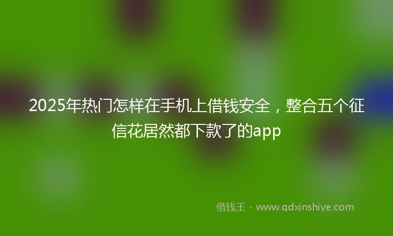 2025年热门怎样在手机上借钱安全，整合五个征信花居然都下款了的app