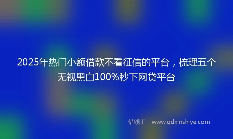 2025年热门小额借款不看征信的平台，梳理五个无视黑白100%秒下网贷平台