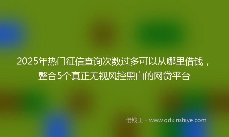 2025年热门征信查询次数过多可以从哪里借钱，整合5个真正无视风控黑白的网贷平台