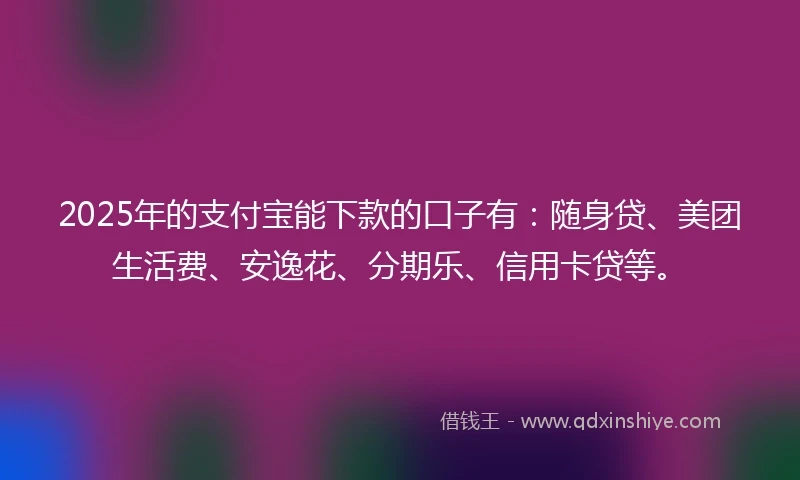 2025年的支付宝能下款的口子有：随身贷、美团生活费、安逸花、分期乐、信用卡贷等。