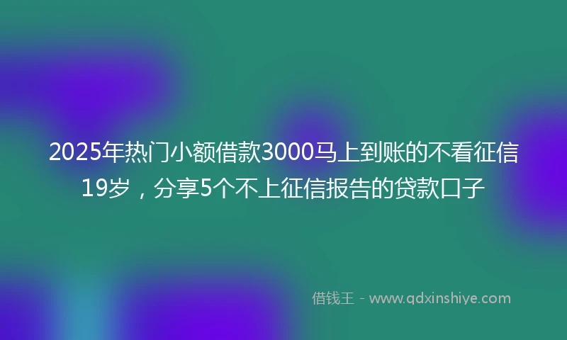 2025年热门小额借款3000马上到账的不看征信19岁，分享5个不上征信报告的贷款口子