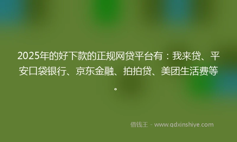 2025年的好下款的正规网贷平台有：我来贷、平安口袋银行、京东金融、拍拍贷、美团生活费等。