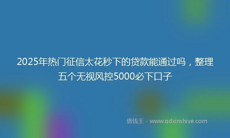 2025年热门征信太花秒下的贷款能通过吗，整理五个无视风控5000必下口子